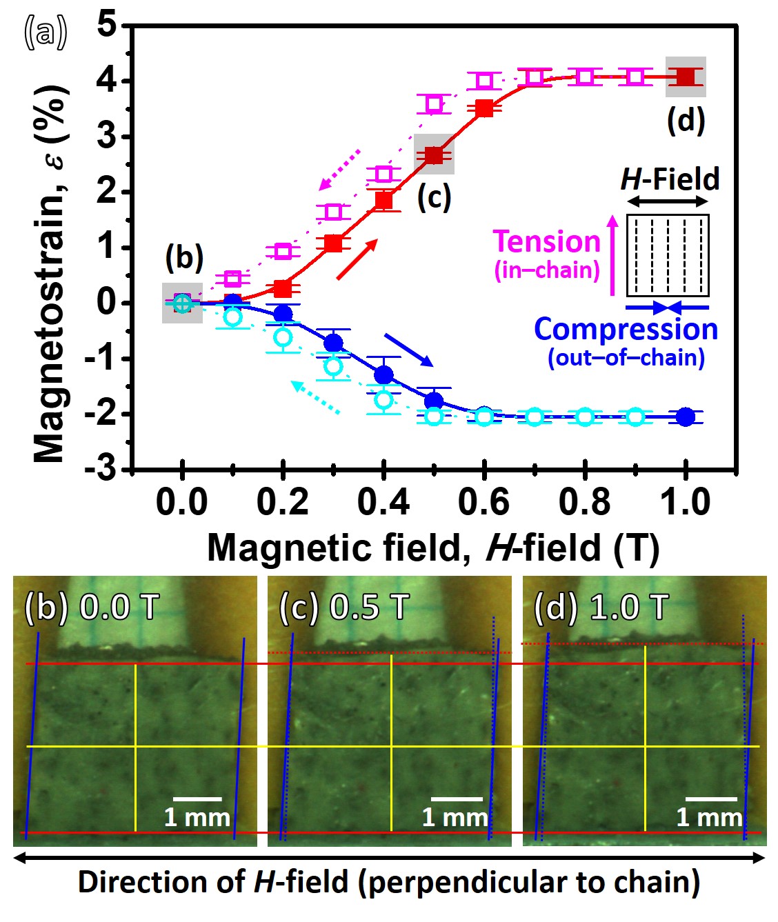 Non-linear elastic behavior of Ni-Fe-Ga(Co) shape memory alloy and Landau-energy landscape reconstruction