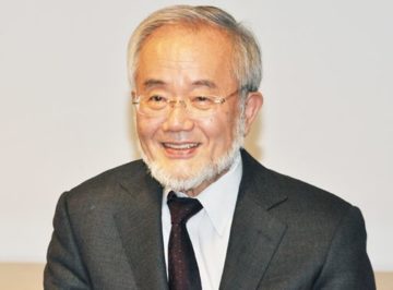 Honorary Professor Yoshinori Ohsumi receives 2016 Order of Culture