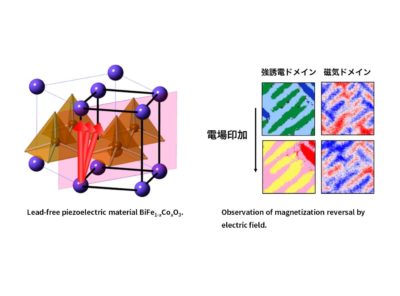 International collaborative research project for the development of environmentally friendly functional oxide materials