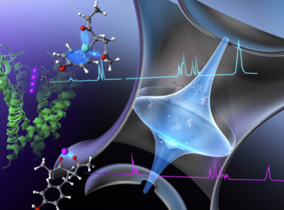 Advanced Laser Spectroscopy on Highly Functional Molecular systems