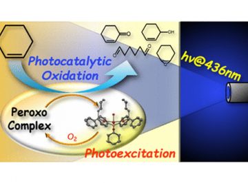 Visible-light Responsive Uranyl Complex Drives Photocatalytic Oxygenation