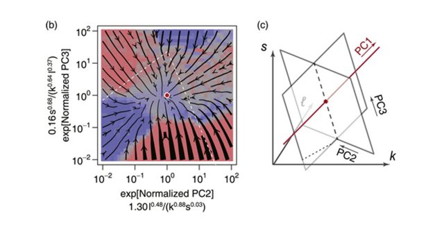 Time evolution of companies towards a stable scaling curve obtained from flow diagrams in 3-dimensional phase space