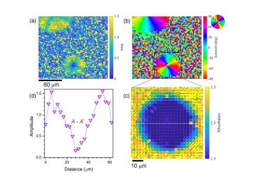 【Published】Infrared Polariscopy Imaging of Linear Polymeric Patterns with a Focal Plane Array