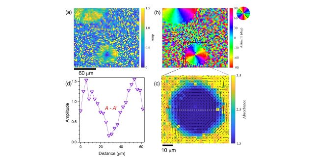 【Published】Infrared Polariscopy Imaging of Linear Polymeric Patterns with a Focal Plane Array