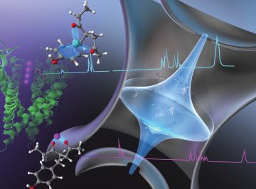 【Published and appeared on the cover】Royal Society of Chemistry,  James Lisy, specially appointed professor and Professor masaaki Fujii