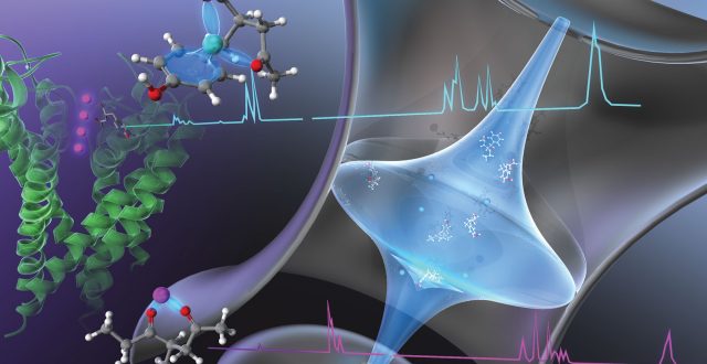 【Published and appeared on the cover】Royal Society of Chemistry,  James Lisy, specially appointed professor and Professor masaaki Fujii