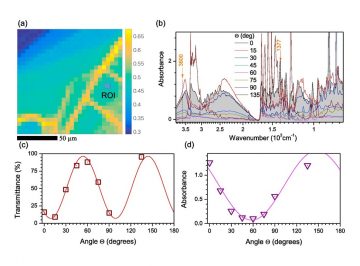 【Published】Paracetamol micro-structure analysis by optical mapping