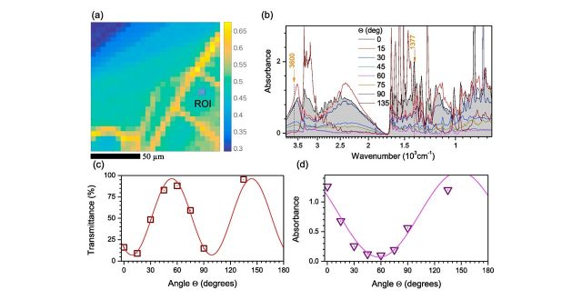 【Published】Paracetamol micro-structure analysis by optical mapping