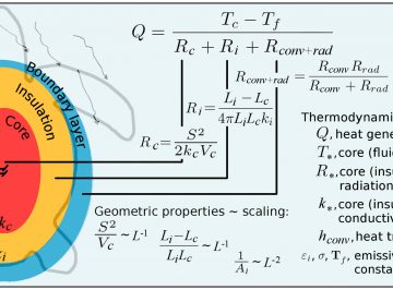 【Published】Thermodynamic constraints and the evolution of parental provisioning in vertebrates