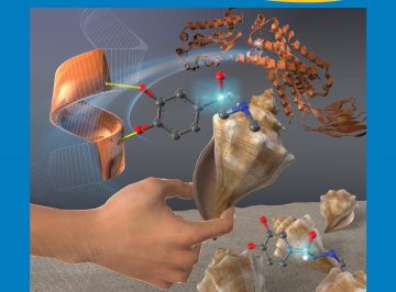 【Published】appeared on the front cover of J. Phys. Chem. Lett.             (WRHI: Dr. Masaaki Fujii and Dr. Anne Zehnacker-Rentien)
