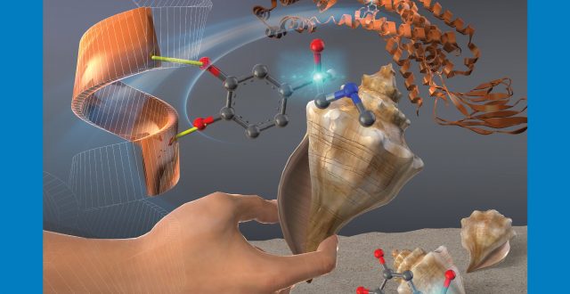【Published】appeared on the front cover of J. Phys. Chem. Lett.             (WRHI: Dr. Masaaki Fujii and Dr. Anne Zehnacker-Rentien)