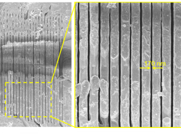 【Research Paper】”Laser-Inscribed Stress-Induced Birefringence of Sapphire”