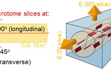 【Research Paper】”Near-Field IR Orientational Spectroscopy of Silk”