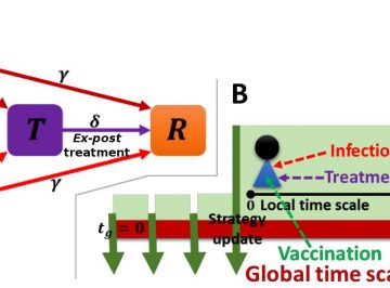 【Published 】Behavioral incentives in a vaccination-dilemma setting with optional treatment