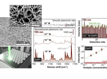 Ultrasensitive Plasmonic Sensor for the ppb (micro gram in liter) level of detection