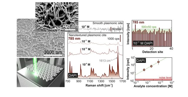Ultrasensitive Plasmonic Sensor for the ppb (micro gram in liter) level of detection