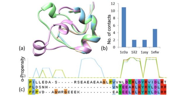 【Published】Molecular dynamics simulations of cognate and non-cognate AspRS-tRNAAsp complexes