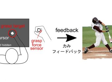 Researchers develop an inexpensive, portable method to measure the arm’s stiffness