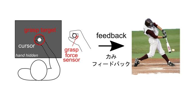 Researchers develop an inexpensive, portable method to measure the arm’s stiffness