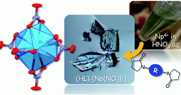 Strictly forbidden 5f ligand field transitions of Np(IV) ion in centrosymmetric system