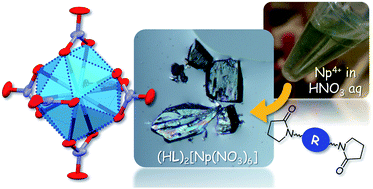 Strictly forbidden 5f ligand field transitions of Np(IV) ion in centrosymmetric system