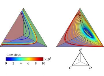 A novel route to cyclic dominance in voluntary social dilemmas