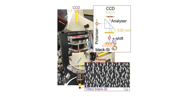 New strongly birefringent metamaterial – tilted black Si. New imaging microscopy: reflection polariscopy