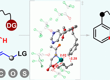 【Published】Palladium-Catalyzed meta-C–H Allylation of Arenes: A Unique Combination of a Pyrimidine-Based Template and Hexafluoroisopropanol