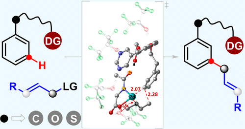 【Published】Palladium-Catalyzed meta-C–H Allylation of Arenes: A Unique Combination of a Pyrimidine-Based Template and Hexafluoroisopropanol