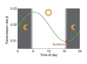 【Published】 Coupling the circadian rhythms of population movement and the immune system in infectious disease modeling