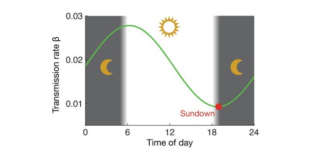【Published】 Coupling the circadian rhythms of population movement and the immune system in infectious disease modeling