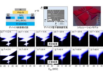 Realization of single hole transport through physically defined silicon quantum dots at a high temperature of 25 K（Editor’s pick）