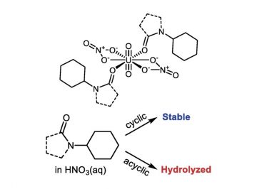 Significance of pyrrolidone ring in the precipitation-based reprocessing for spent nuclear fuels