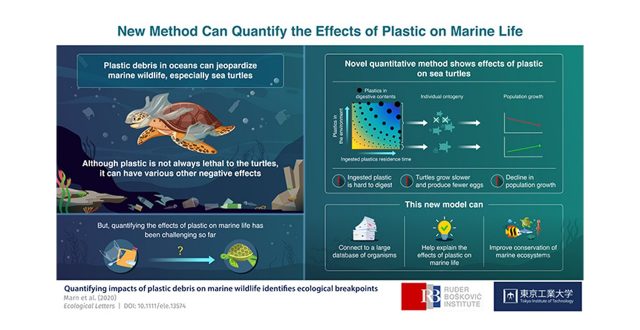 Saving marine life: Novel method quantifies the effects of plastic on marine wildlife
