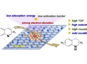 【Online available】Electronic effect in a ruthenium catalyst designed in nanoporous N-functionalized carbon for efficient hydrogenation of heteroarenes