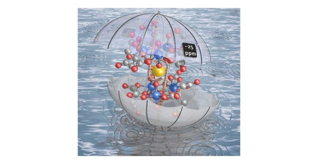 Uranyl citrate can selectively capture cations with specific ionic sizes