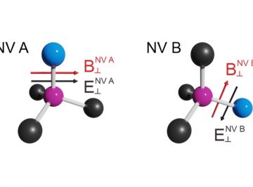 Vector electrometry using a spin-ensemble quantum sensor in diamond