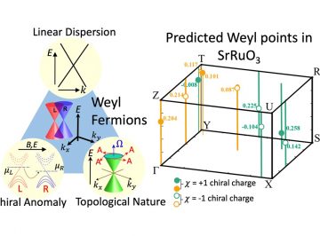 Existence of Weyl fermions in SrRuO3 ferromagnetic oxide : Theoretical predictions and Experimental evidences