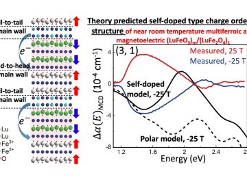 Spectroscopic insight into the microscopic origin of near room temperature multiferroic behavior in (LuFeO3)m/(LuFe2O4)1 superlattices