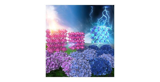 Polarization- and Strain-Mediated Control of Negative Thermal Expansion and Ferroelasticity in a Perovskite Oxide