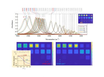 Hyperspectral mapping  for measurement of molecular orientation in dielectric nanolayers of metal-insulator-metal (MIM) metamaterials composed of gold nanodisks on polyimide and gold films