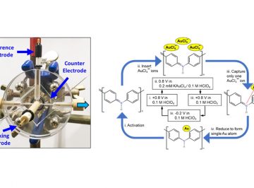 Catalytic Activity of Atomic Gold-Decorated Polyaniline Support in Glucose Oxidation