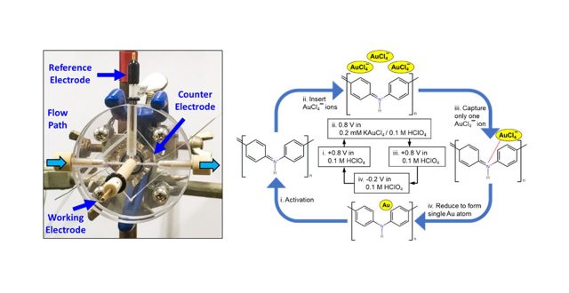 Catalytic Activity of Atomic Gold-Decorated Polyaniline Support in Glucose Oxidation