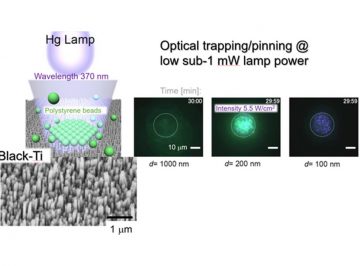 Trapping of sub-micrometer sized particles is demonstrated on a nanotextured Ti (black-Ti) under  UV-lamp irradiation.  Optical absorbance in the surface layer of titania TiO2 and light enhancement are responsible for the trapping