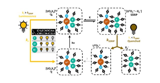 Quenching mechanism of uranyl luminescence clarified