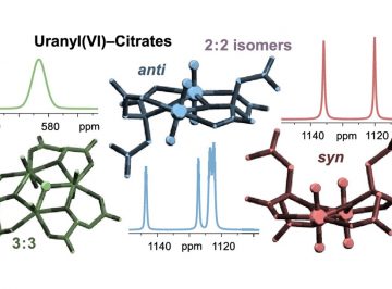 Uranyl(VI) Citrate Polynuclear Complexes Identified