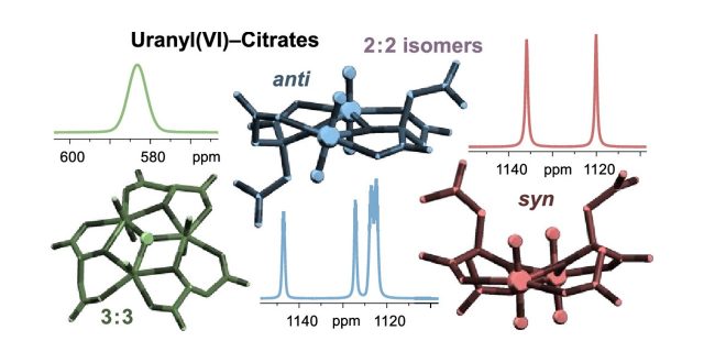 Uranyl(VI) Citrate Polynuclear Complexes Identified