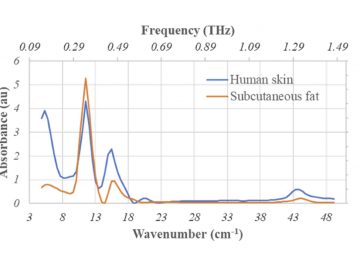 Skin-care and sunscreen ingredients were examined for their absorbance at mm-wavelengths (IR and THz) using synchrotron radiation
