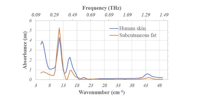 Skin-care and sunscreen ingredients were examined for their absorbance at mm-wavelengths (IR and THz) using synchrotron radiation