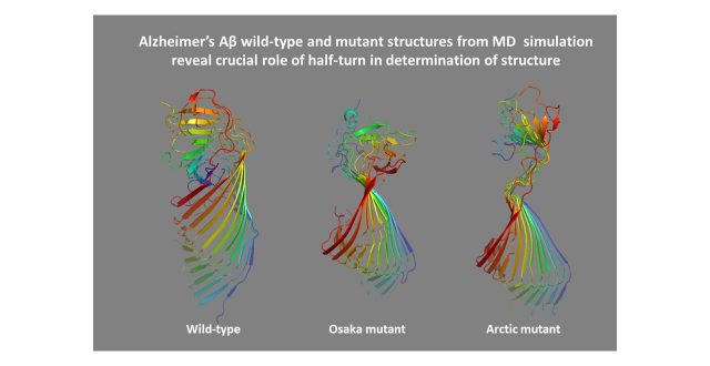 Importance of “half-turn” structure in Alzheimer’s Aβ fibrils